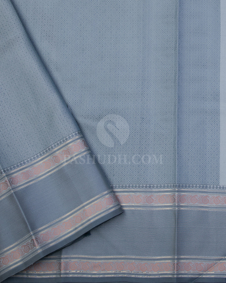 Mild Blue & Grey Kanjivaram Silk Saree - DS1(A) - View 2
