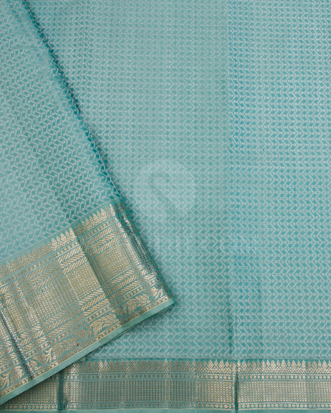 Powder Blue Kanjivaram Silk Saree - D578(A)