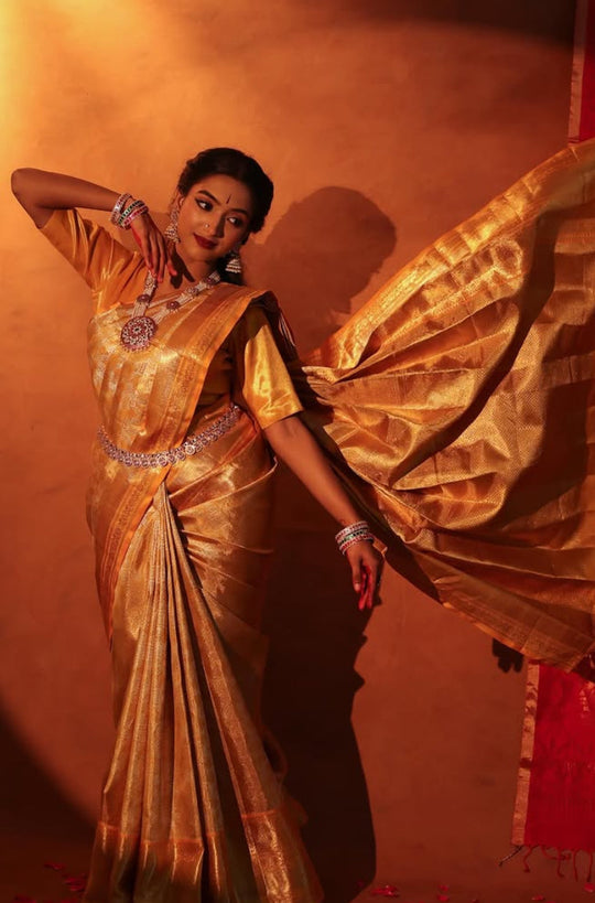 From Tradition to Today: Classic Silk Sarees Drapes That Endure