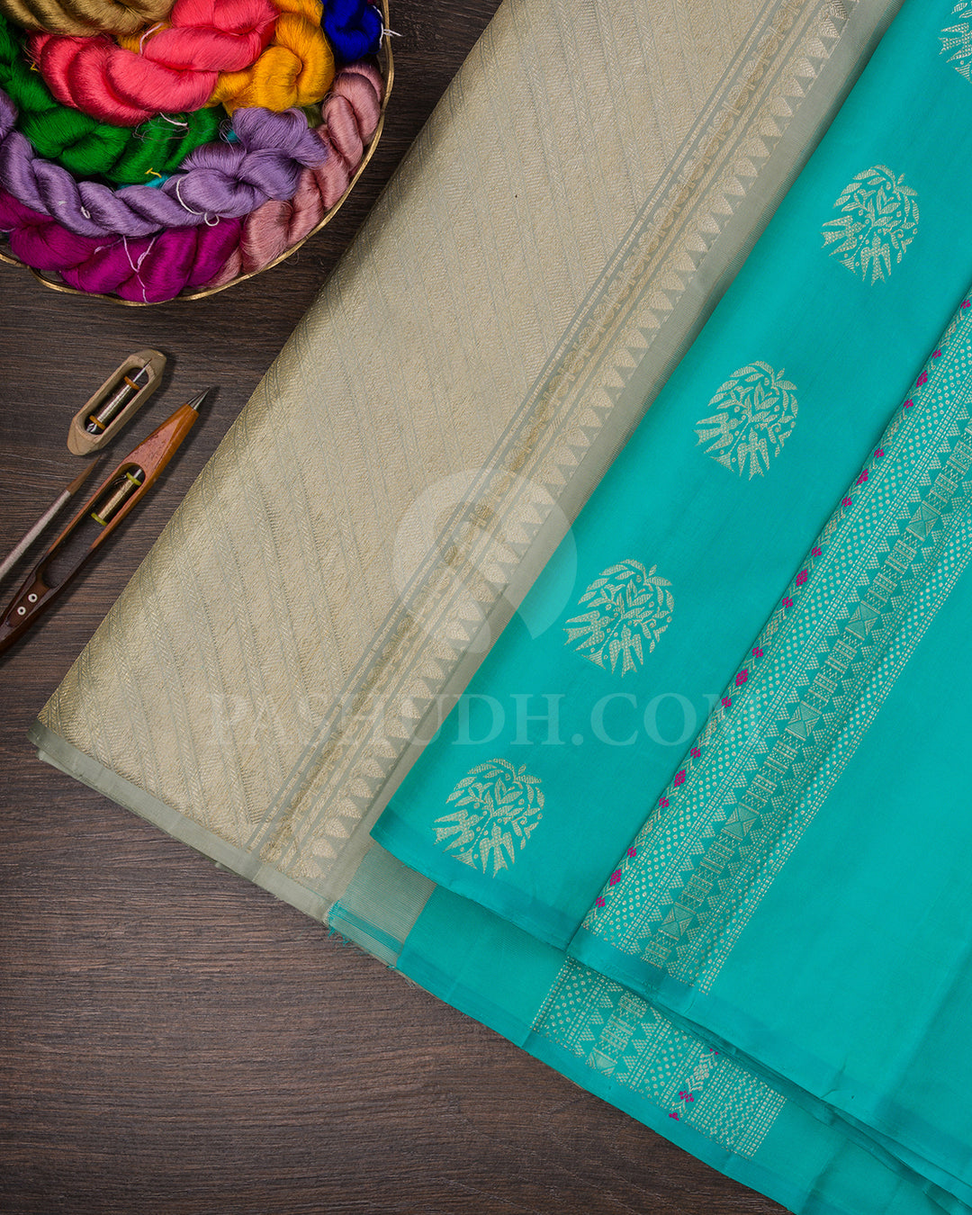 Cyan Borderless Kanjivaram Silk Saree - BKF1