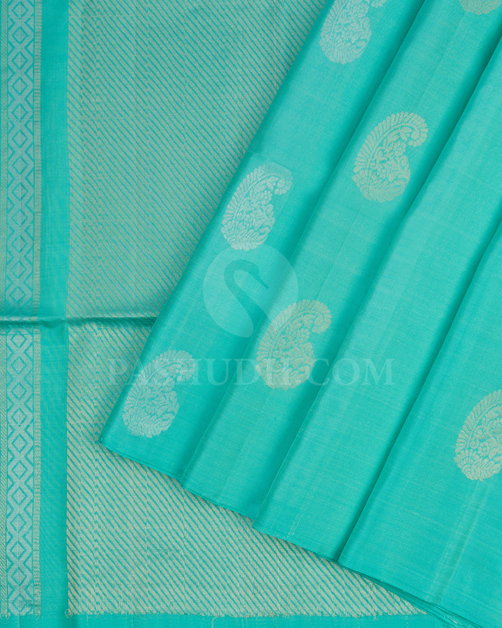 Sky Blue Self Coloured Soft Silk Saree - AC26