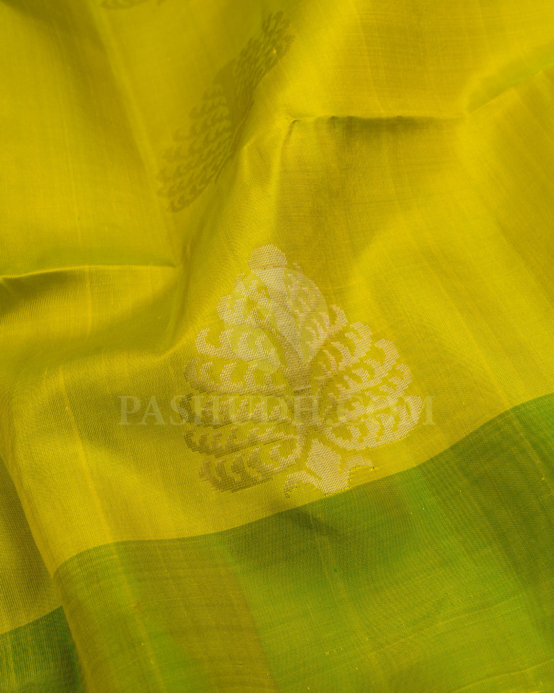 Light and Dark Green Soft Silk Saree - AC77