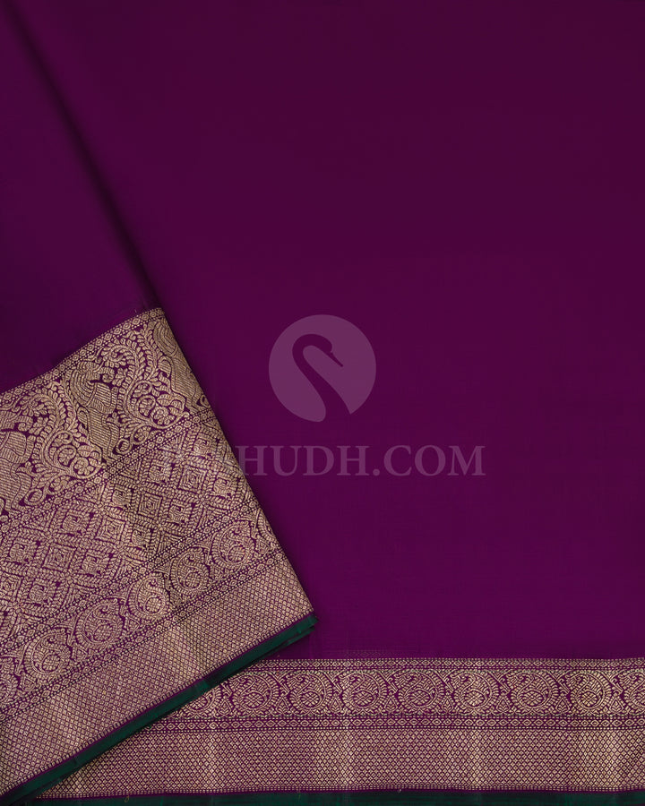 Sky Blue and Violet Pure Zari Kanjivaram Silk Saree - S720 - View 4