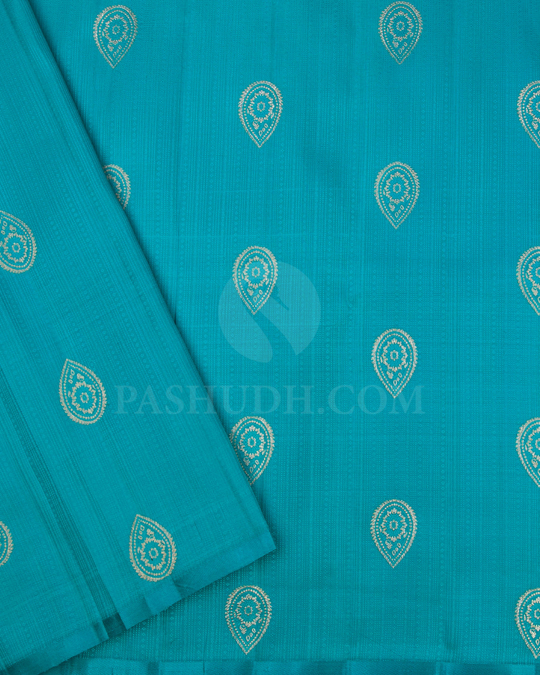 Gold and Silver, Anandha Blue Borderless Organza Kanjivaram Silk Saree - S1256(A)