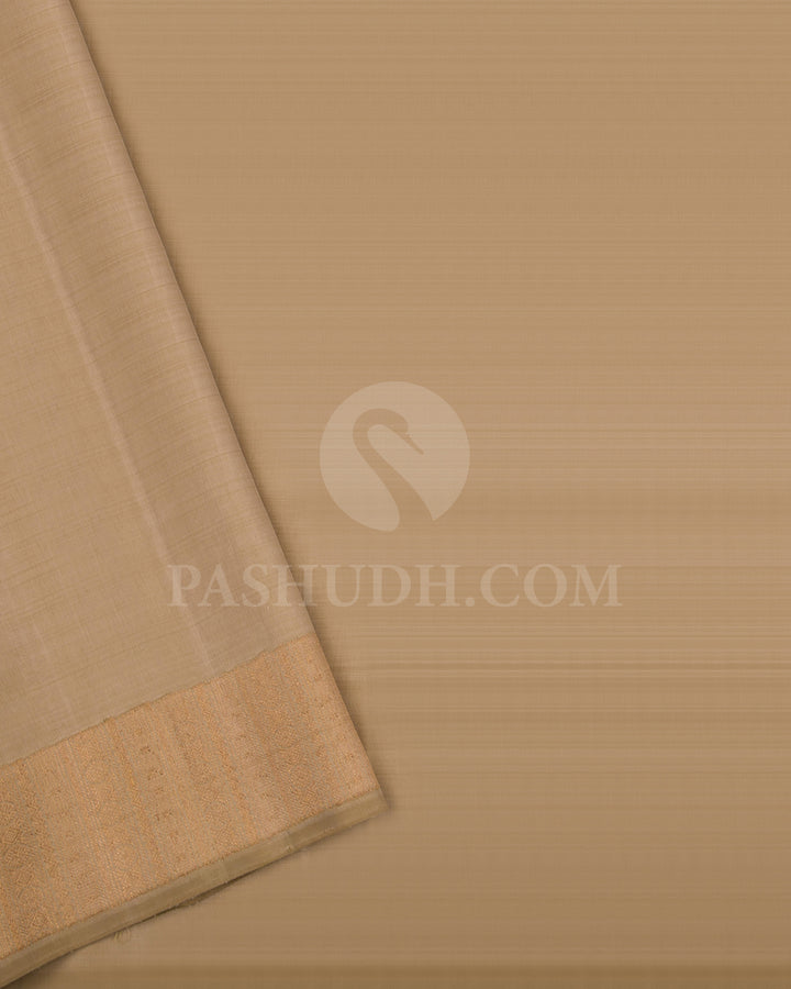 Black Borderless Kanjivaram Silk Saree - S1314(B)