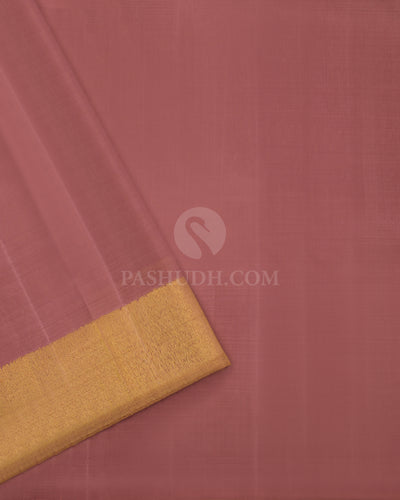 Gold & Brown Shimmer Organza Kanjivaram Silk Borderless Saree - S810- vie w4