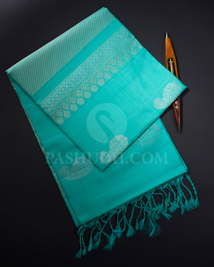 Sky Blue Self Coloured Soft Silk Saree - AC26