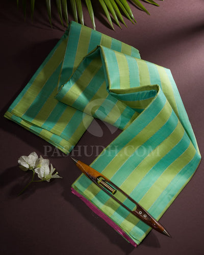 LIGHT BLUE &GREEN  BORDERLESS  CLASSIC  KANJIVARAM SILK SAREE - SVJ94