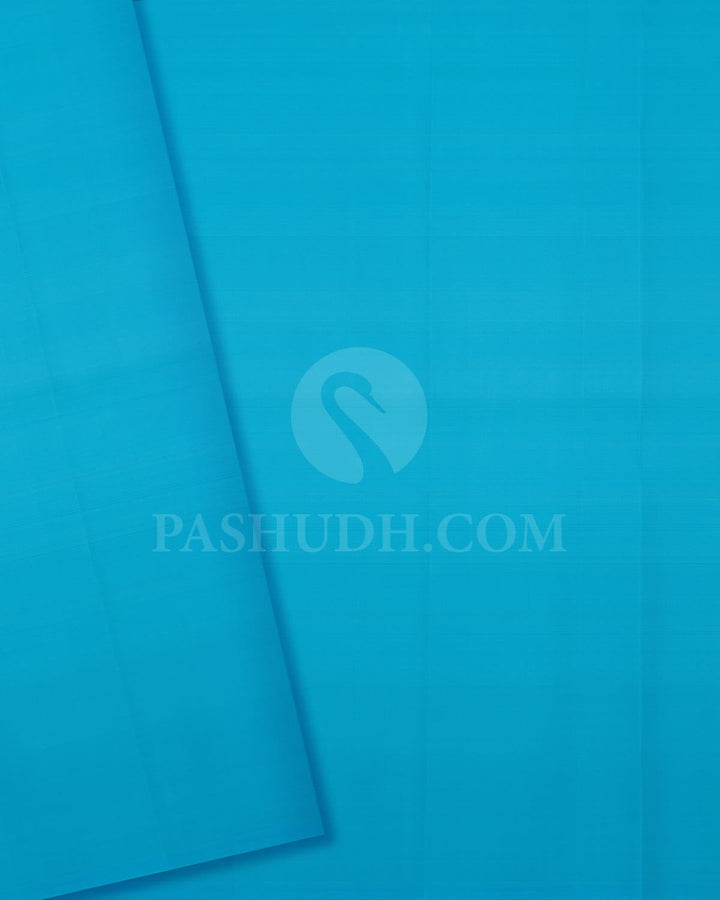 Purple & Sky Blue Traditional Borderless Kanjivaram Silk Saree-L2