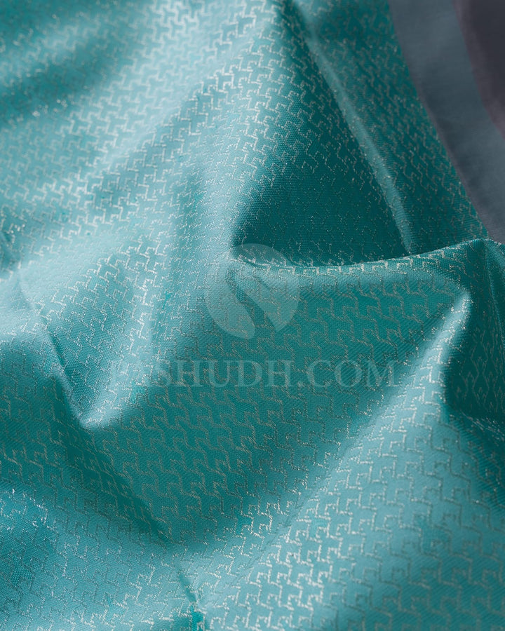 Sky Blue & Grey Kanjivaram Silk Saree-DJ344(F)