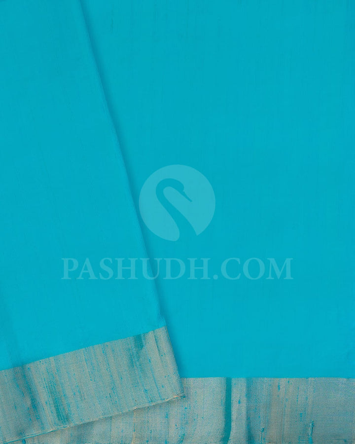 Sky Blue Silver Gold Zari  Soft Silk Saree-AC162