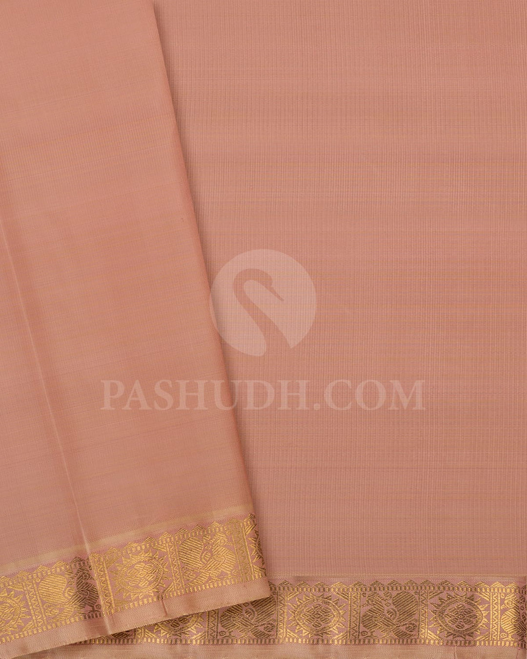 Beige Pure Zari Kanjivaram Silk Saree-SP255