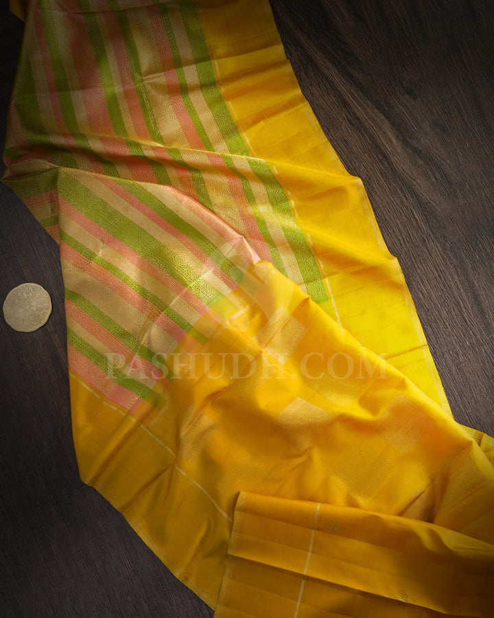 Multicolor Kanjivaram Silk Saree-S1555(B)