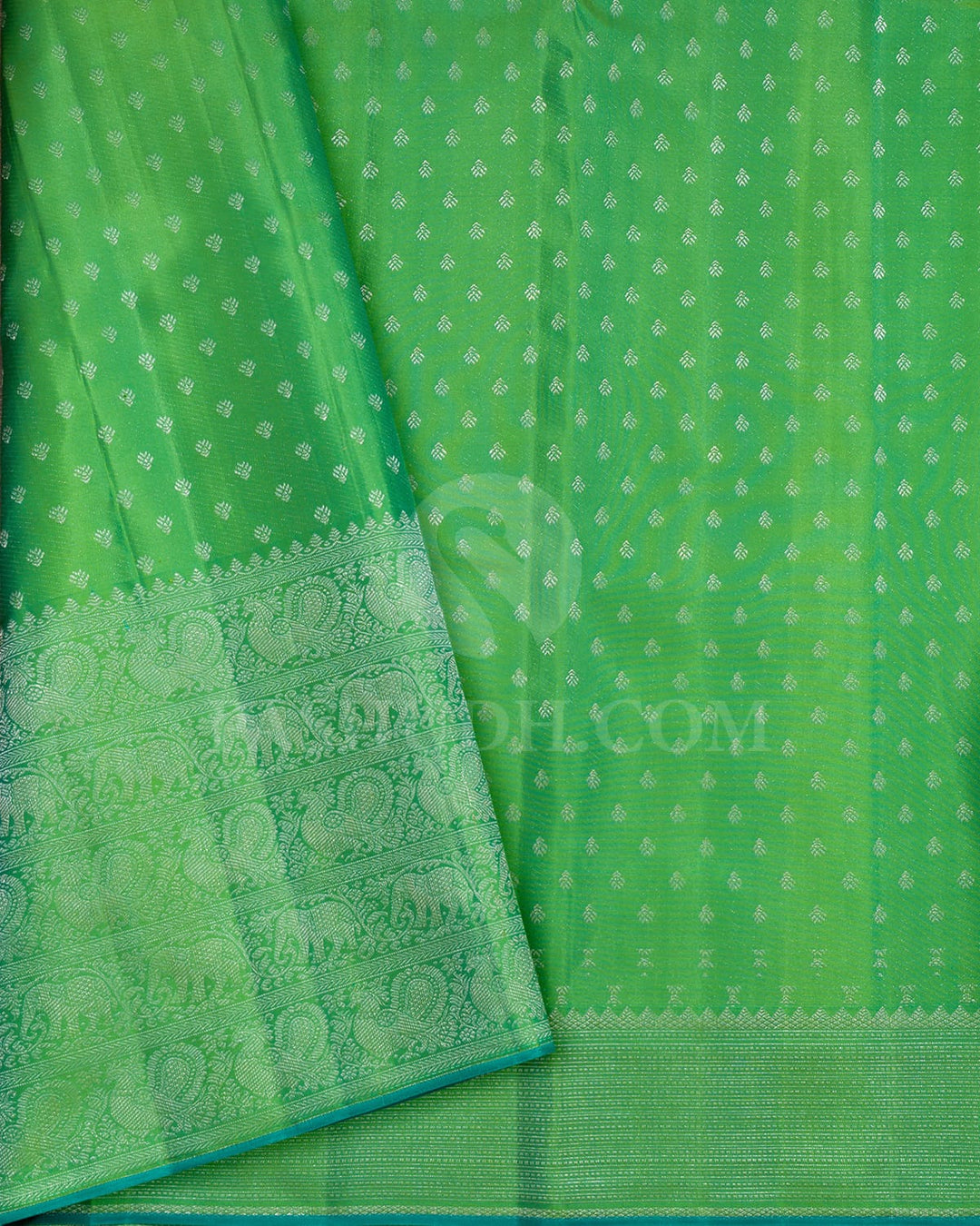 Sky Blue With Dual Shaded Parrot Green Kanjivaram Silk Saree-DJ434(F)