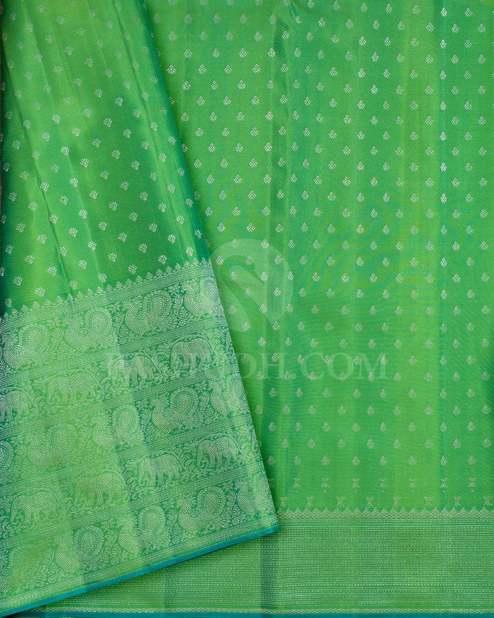 Sky Blue With Dual Shaded Parrot Green Kanjivaram Silk Saree-DJ434(F)