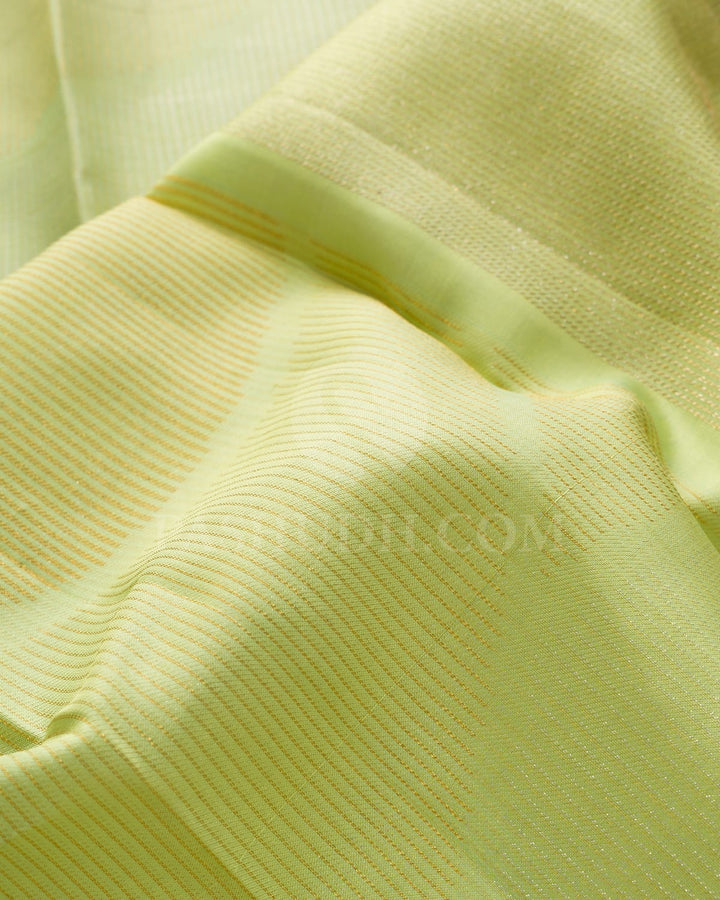 Pista Green With Golden Beige Borderless Kanjivaram Silk Saree-DJ453(B)