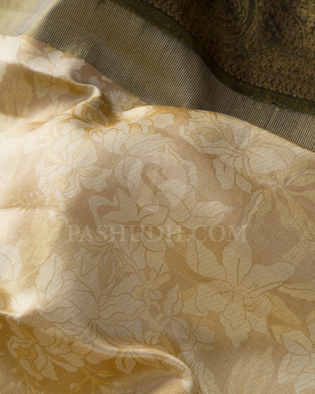 Golden Beige And Ivory With Black Borderless Kanjivaram Silk Saree-DJ422(E)