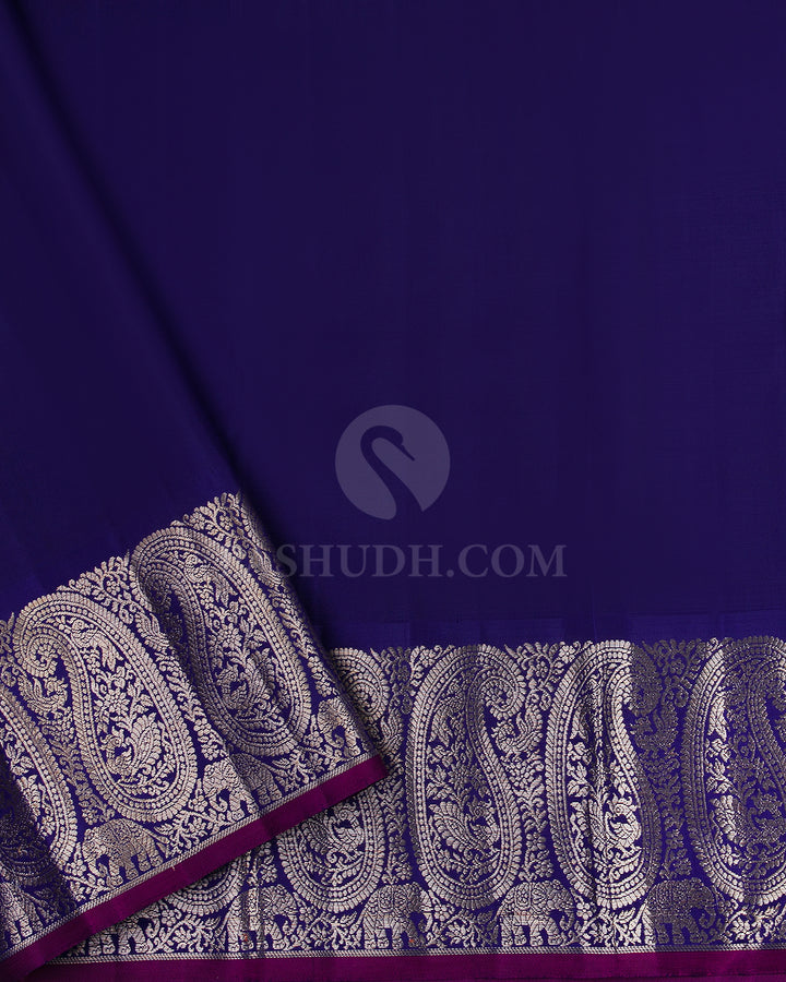 Sky Blue and Navy Blue Pure Zari Kanjivaram Silk Saree - S669 - View 4